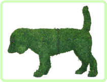 Beagle Animal Topiary Frame 21x24x7 Beagle Animal Topiary Frame 21x24x7