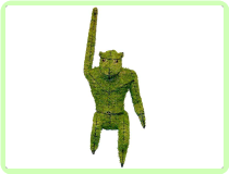 Monkey, Hanging Animal Topiary Frame Monkey, Hanging Animal Topiary Frame