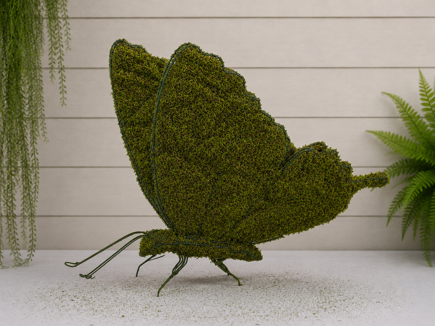 Butterfly (Mossed) - Image 2